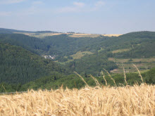 Blick vom Thalfanger Erbeskopf -&nbsp;dort ist&nbsp;Sandra 
Oettel aufgewachsen.